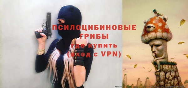 spice Володарск