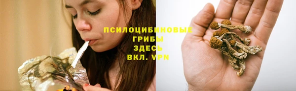 spice Володарск