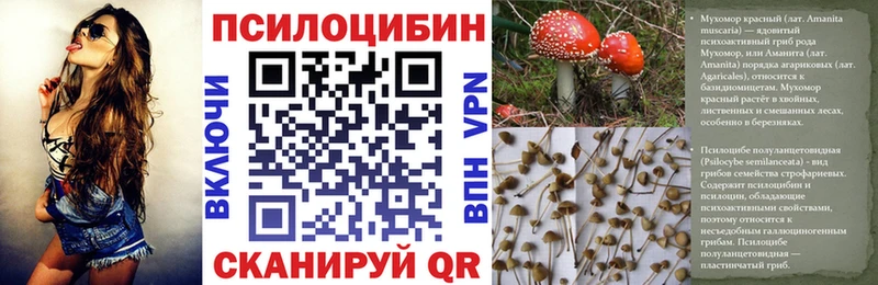 kraken ссылки  Орск  Псилоцибиновые грибы Psilocybine cubensis  купить  